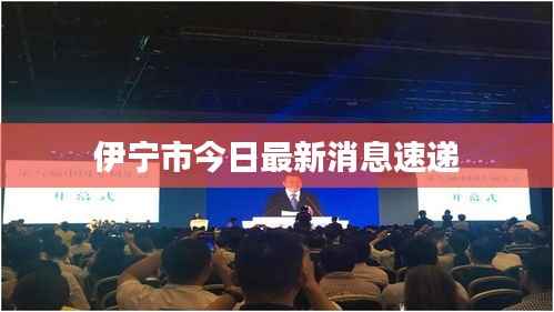 伊宁市今日最新消息速递