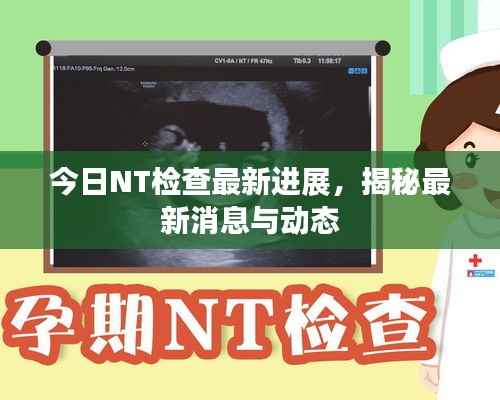 今日NT检查最新进展,揭秘最新消息与动态