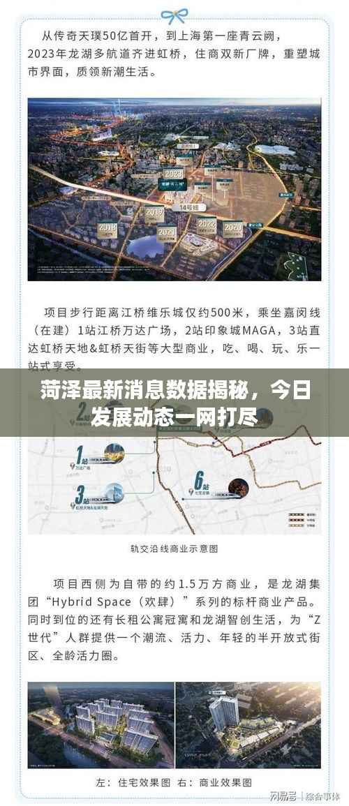 菏泽最新消息数据揭秘,今日发展动态一网打尽