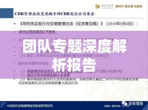团队专题深度解析报告