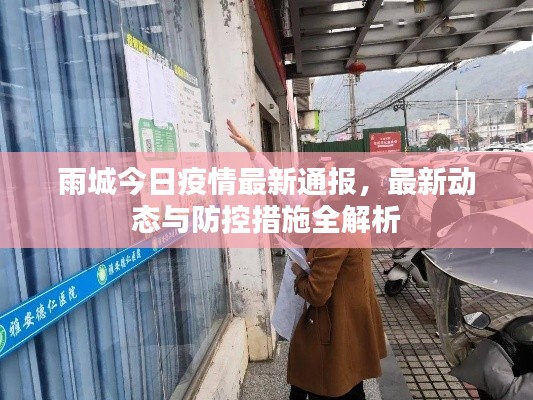 雨城今日疫情最新通报,最新动态与防控措施全解析