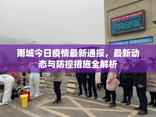 雨城今日疫情最新通报,最新动态与防控措施全解析
