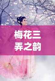 梅花三弄之韵,古典音乐与文化的完美交融