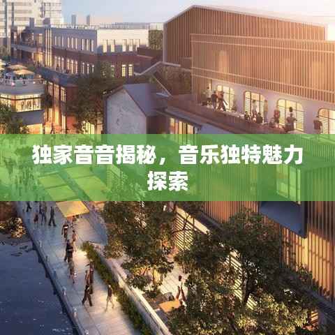 独家音音揭秘,音乐独特魅力探索