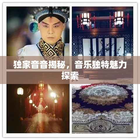 独家音音揭秘,音乐独特魅力探索