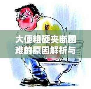 大便粗硬夹断困难的原因解析与应对之策