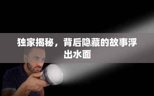 独家揭秘,背后隐藏的故事浮出水面