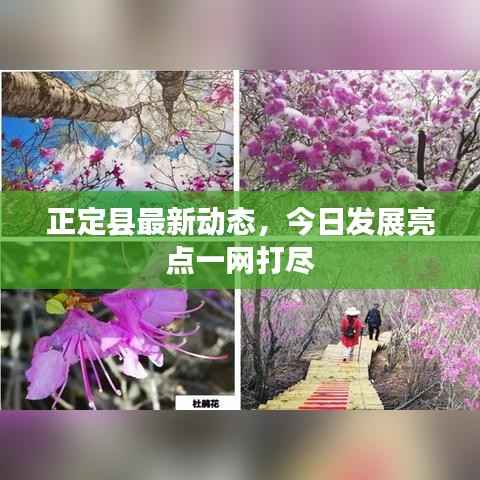 正定县最新动态，今日发展亮点一网打尽