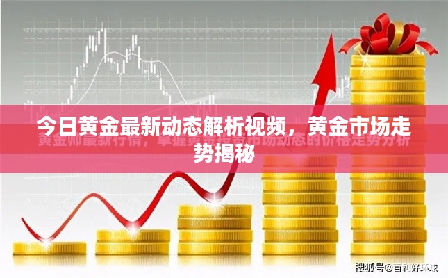 今日黄金最新动态解析视频,黄金市场走势揭秘