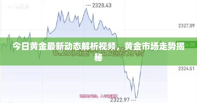 今日黄金最新动态解析视频,黄金市场走势揭秘