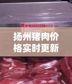 扬州猪肉价格实时更新,今日最新动态