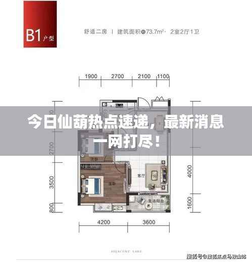 今日仙葫热点速递,最新消息一网打尽!