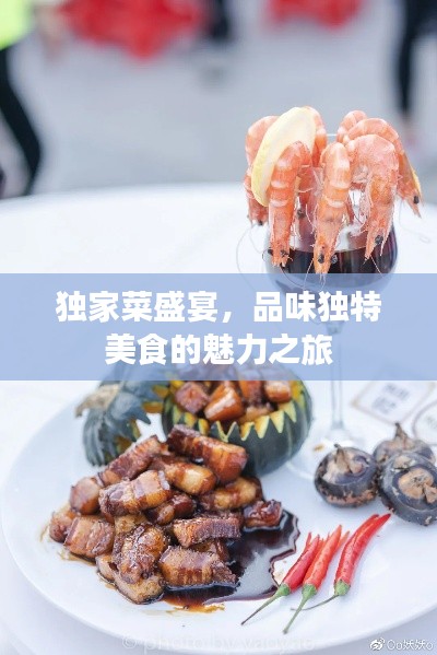 独家菜盛宴,品味独特美食的魅力之旅