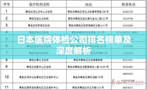 日本医院体检公司排名榜单及深度解析