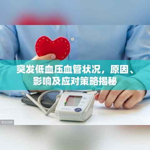 突发低血压血管状况,原因、影响及应对策略揭秘