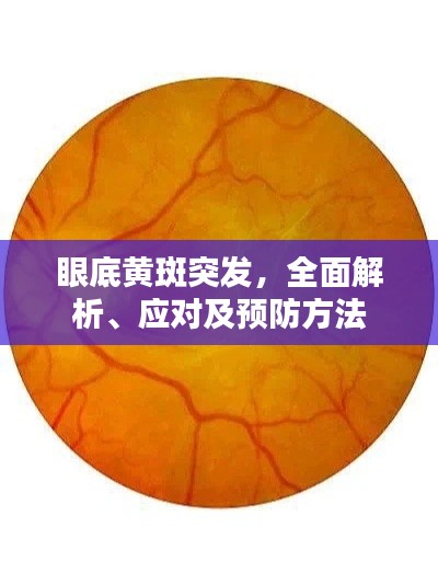 眼底黄斑突发,全面解析、应对及预防方法