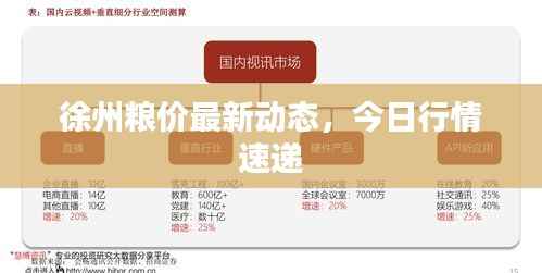 徐州粮价最新动态,今日行情速递