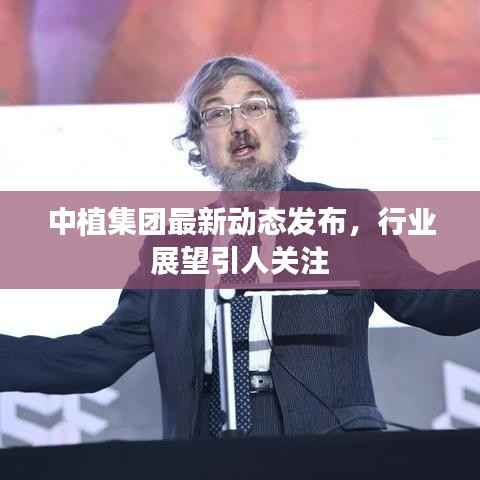 中植集团最新动态发布,行业展望引人关注