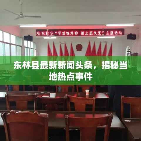 东林县最新新闻头条,揭秘当地热点事件