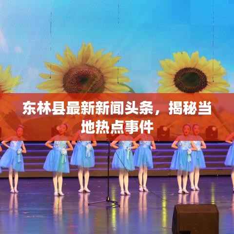 东林县最新新闻头条,揭秘当地热点事件