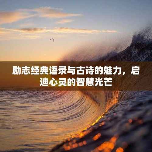 励志经典语录与古诗的魅力,启迪心灵的智慧光芒