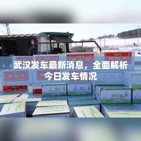 武汉发车最新消息,全面解析今日发车情况