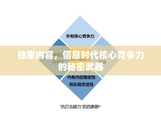 独家内容,信息时代核心竞争力的秘密武器