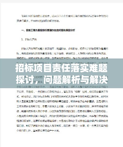 招标项目责任落实难题探讨,问题解析与解决之道