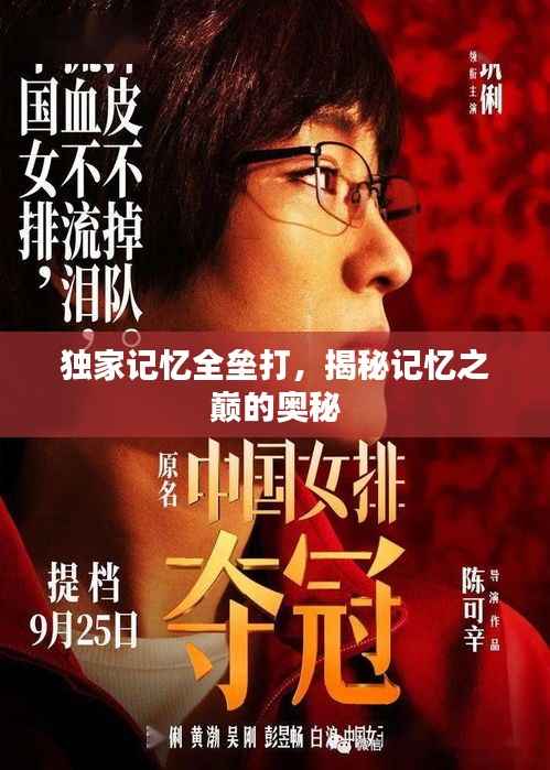 独家记忆全垒打,揭秘记忆之巅的奥秘