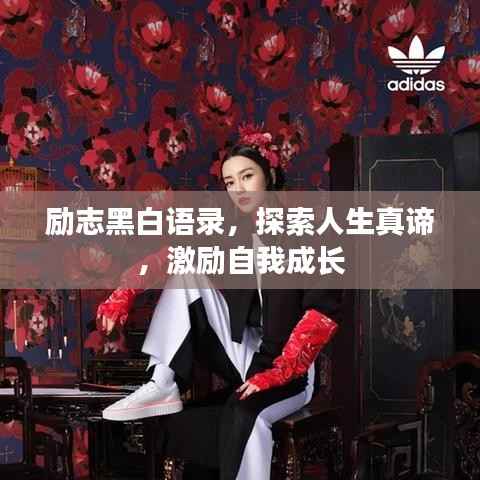 励志黑白语录,探索人生真谛,激励自我成长