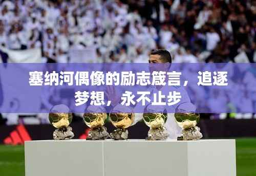 塞纳河偶像的励志箴言,追逐梦想,永不止步