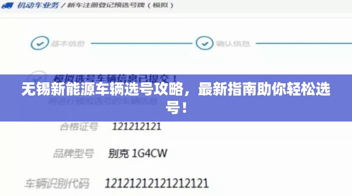 无锡新能源车辆选号攻略,最新指南助你轻松选号!