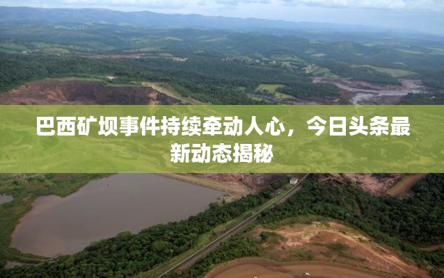 巴西矿坝事件持续牵动人心,今日头条最新动态揭秘