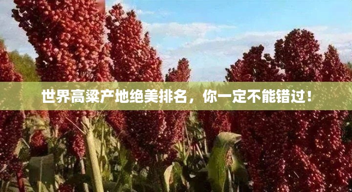 世界高粱产地绝美排名,你一定不能错过!