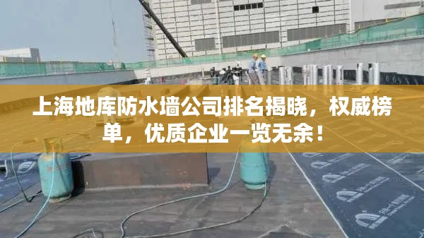 上海地库防水墙公司排名揭晓,权威榜单,优质企业一览无余!
