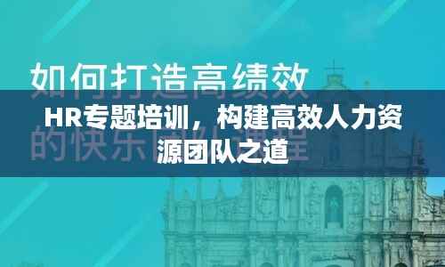 HR专题培训,构建高效人力资源团队之道