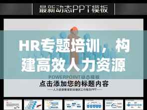 HR专题培训,构建高效人力资源团队之道