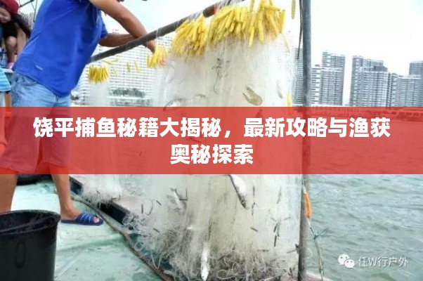 饶平捕鱼秘籍大揭秘,最新攻略与渔获奥秘探索