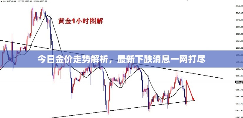 今日金价走势解析,最新下跌消息一网打尽