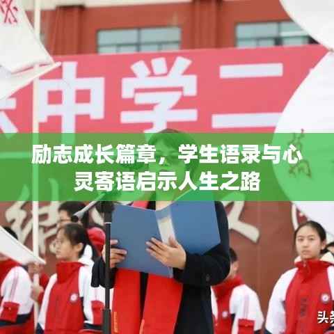 励志成长篇章,学生语录与心灵寄语启示人生之路