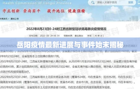 岳阳疫情最新进展与事件始末揭秘