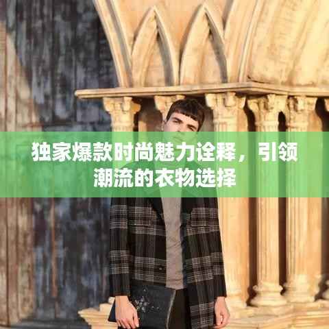 独家爆款时尚魅力诠释,引领潮流的衣物选择