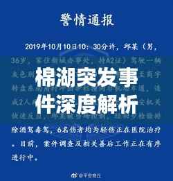 棉湖突发事件深度解析,事件真相、原因及应对之道