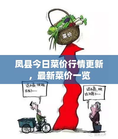 凤县今日菜价行情更新,最新菜价一览