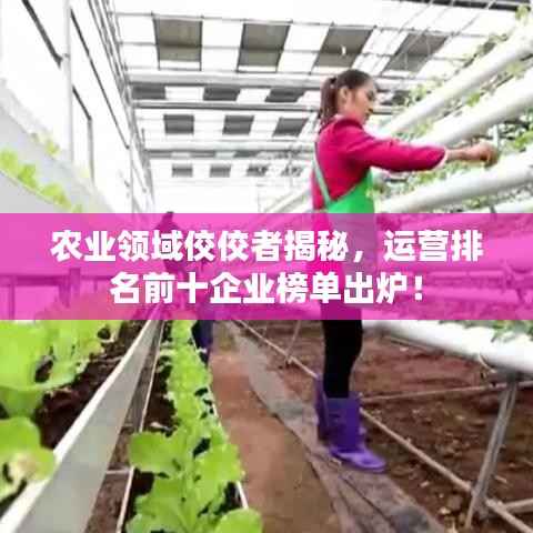农业领域佼佼者揭秘,运营排名前十企业榜单出炉!