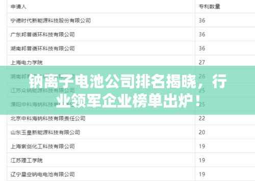 钠离子电池公司排名揭晓,行业领军企业榜单出炉!