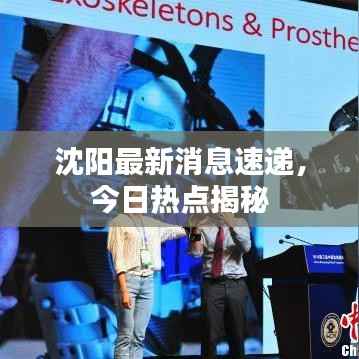沈阳最新消息速递,今日热点揭秘