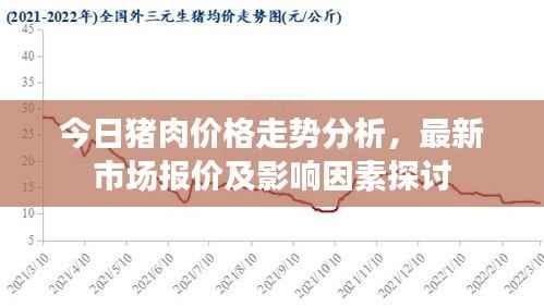今日猪肉价格走势分析,最新市场报价及影响因素探讨
