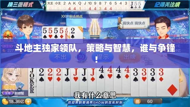 斗地主独家领队,策略与智慧,谁与争锋!