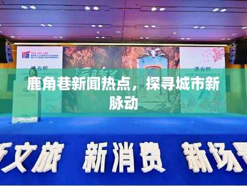 鹿角巷新闻热点,探寻城市新脉动